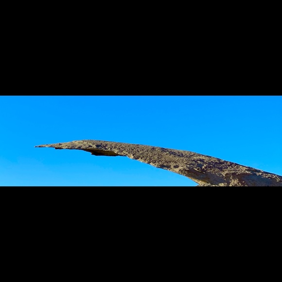 Meet your Posher, Ken - Picture 2 of 2